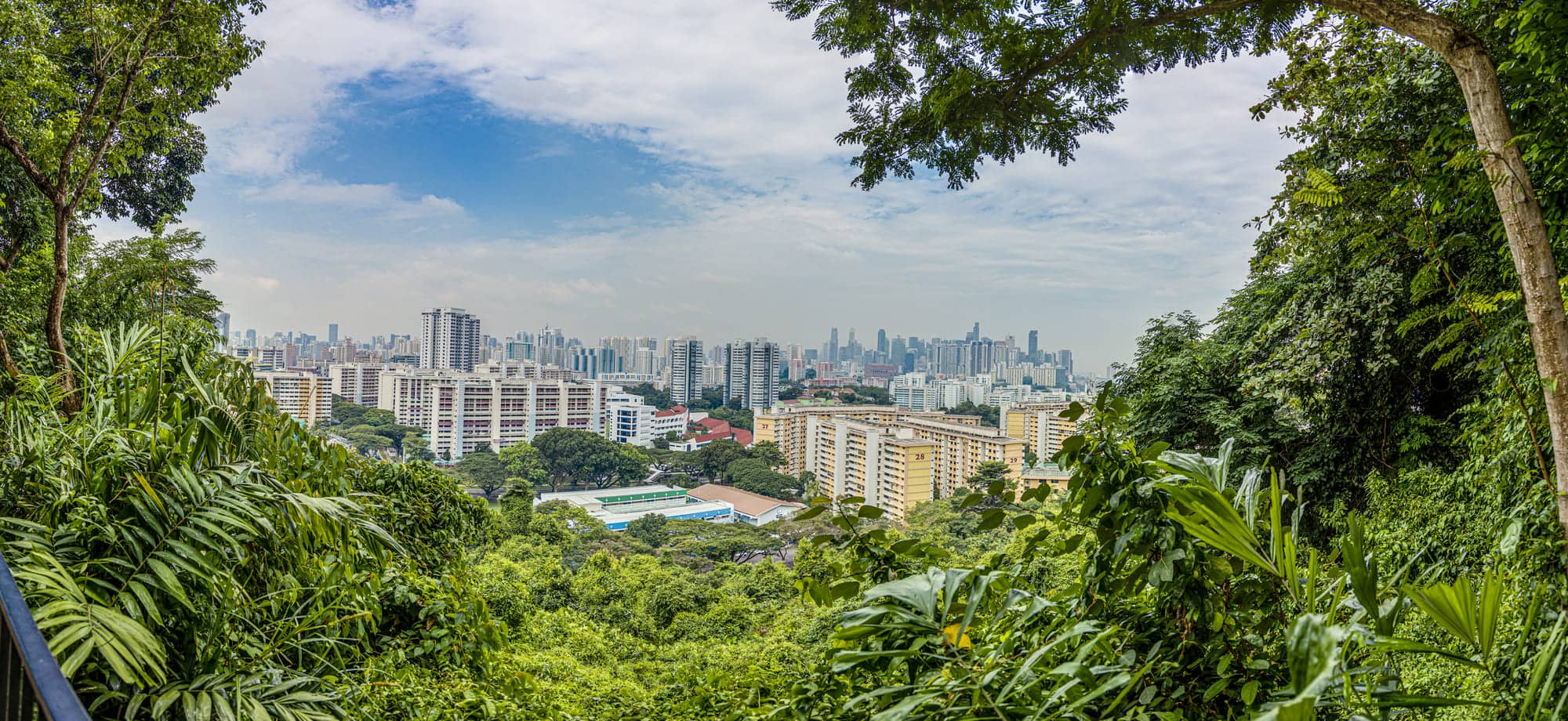 South Buona Vista Road and Mount Faber