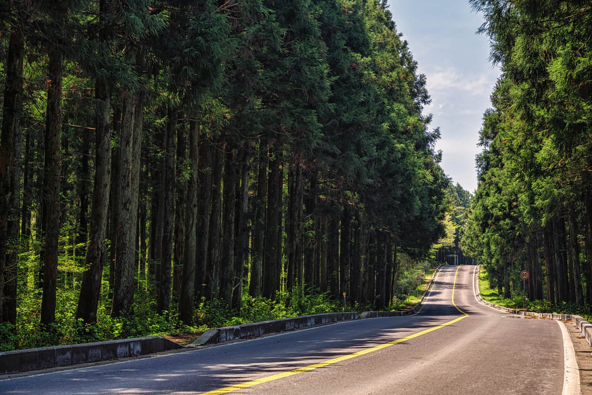Jeju Island Coastal Route