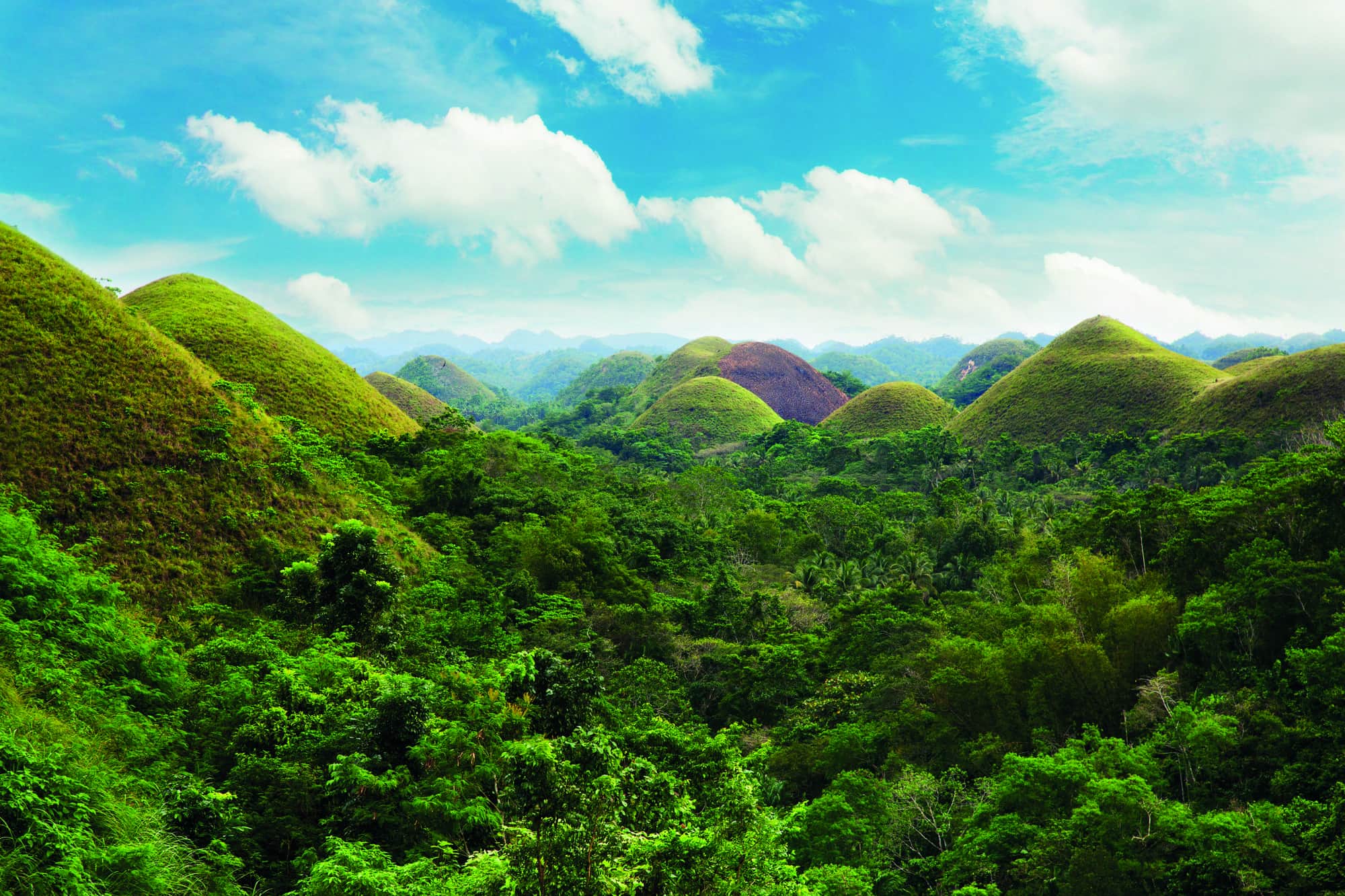 Cebu Port to Panglao, Bohol