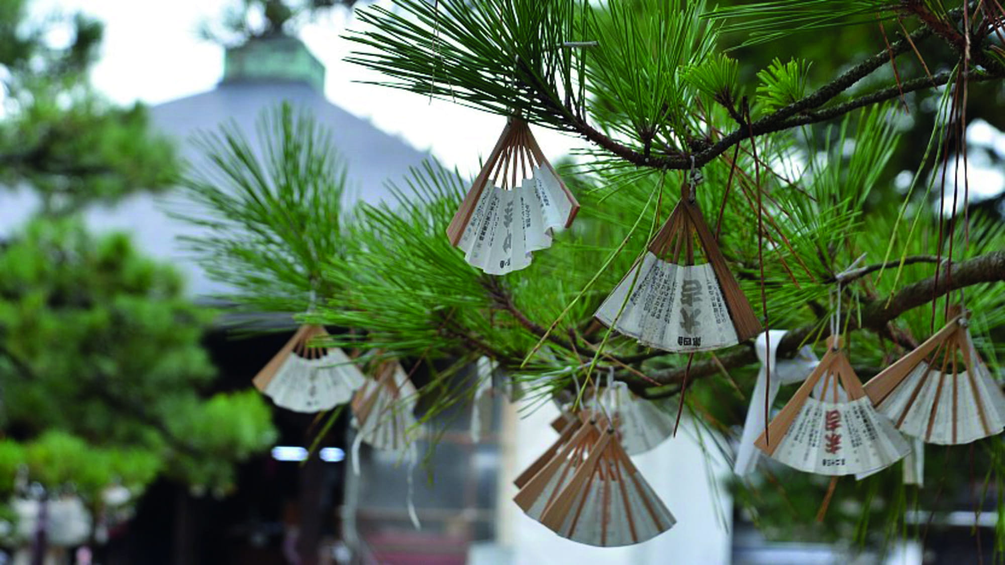 Osaka to Amanohashidate