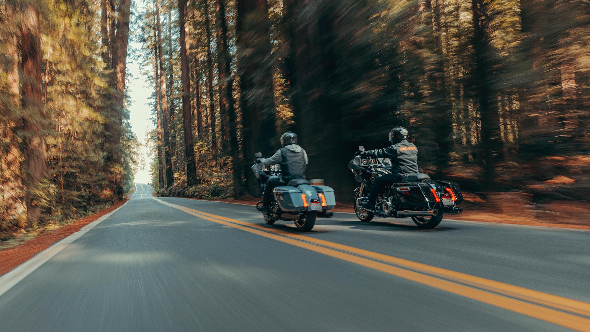 Riders riding on a road