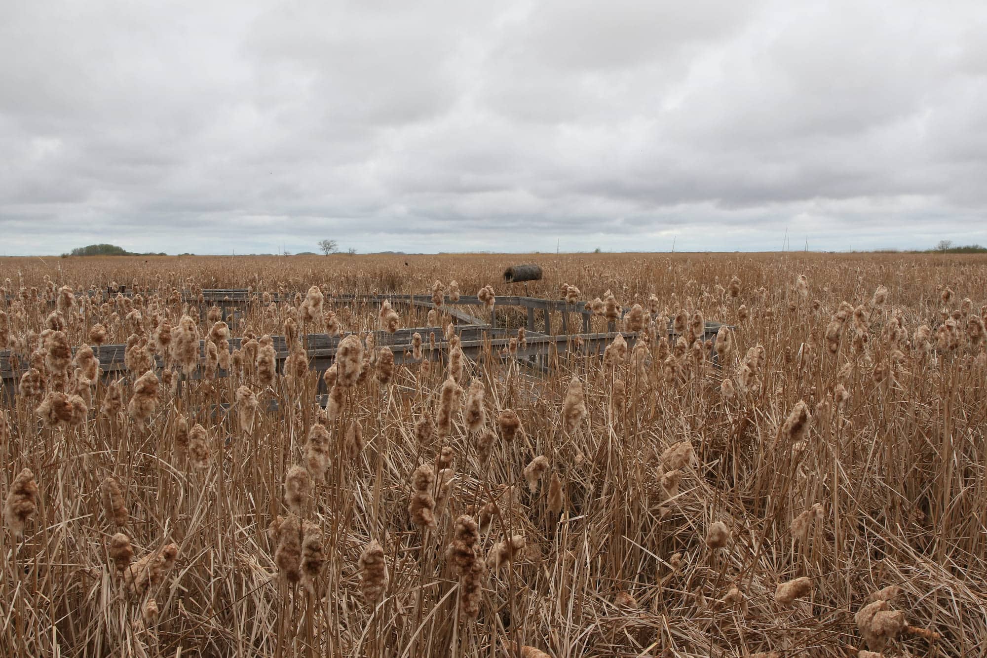 Tournée en boucle de concessionnaires H-D®