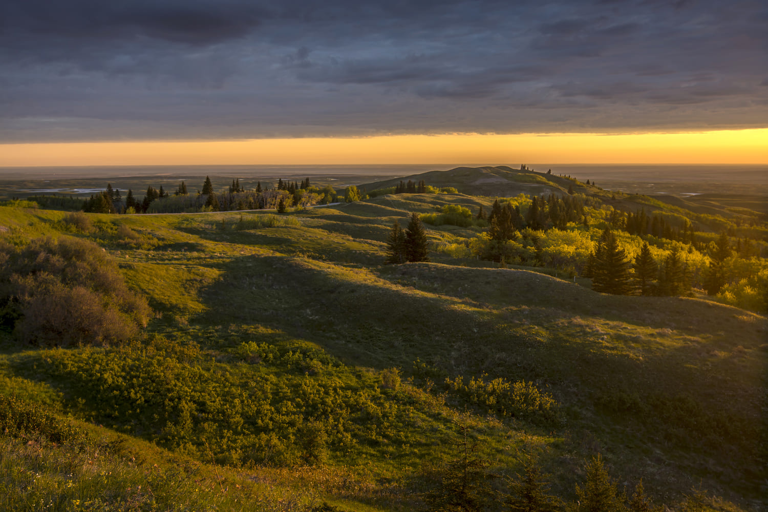 Des Badlands à Elkwater