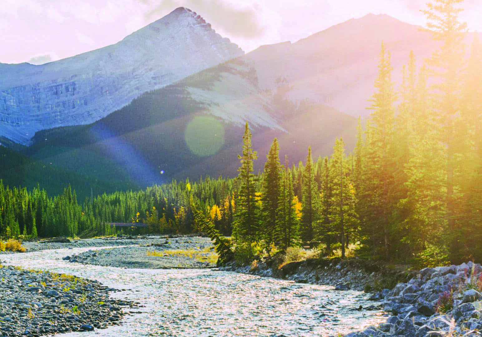 Elbow Falls et Forgetmenot Pond