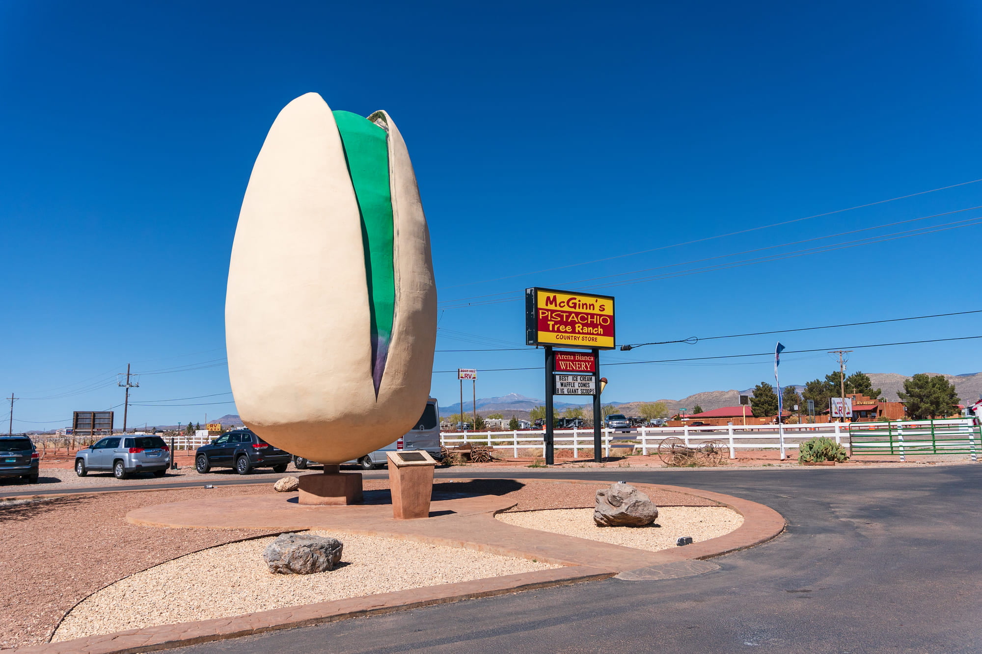 World’s Largest Pistachio