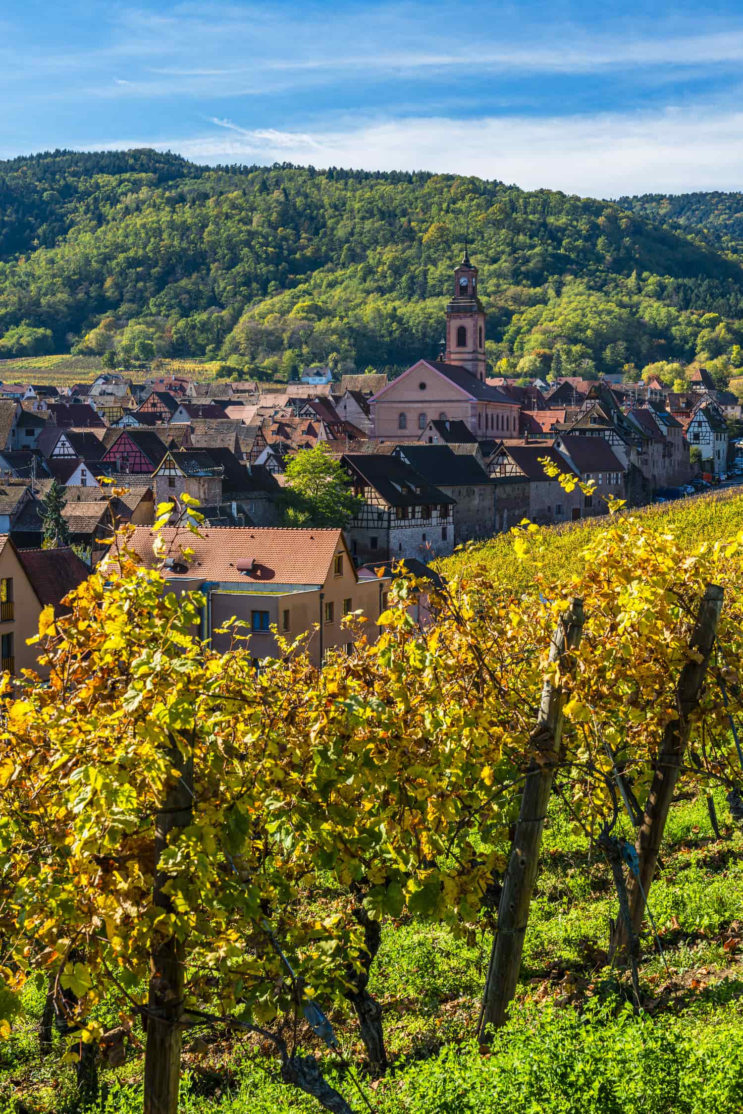 La Strada dei Vini d’Alsazia