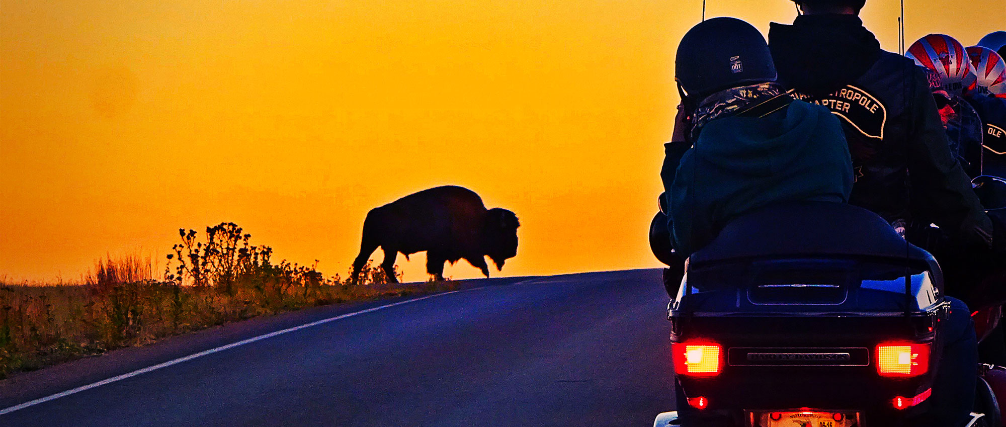 We ontmoeten het Belgian Metropole Chapter