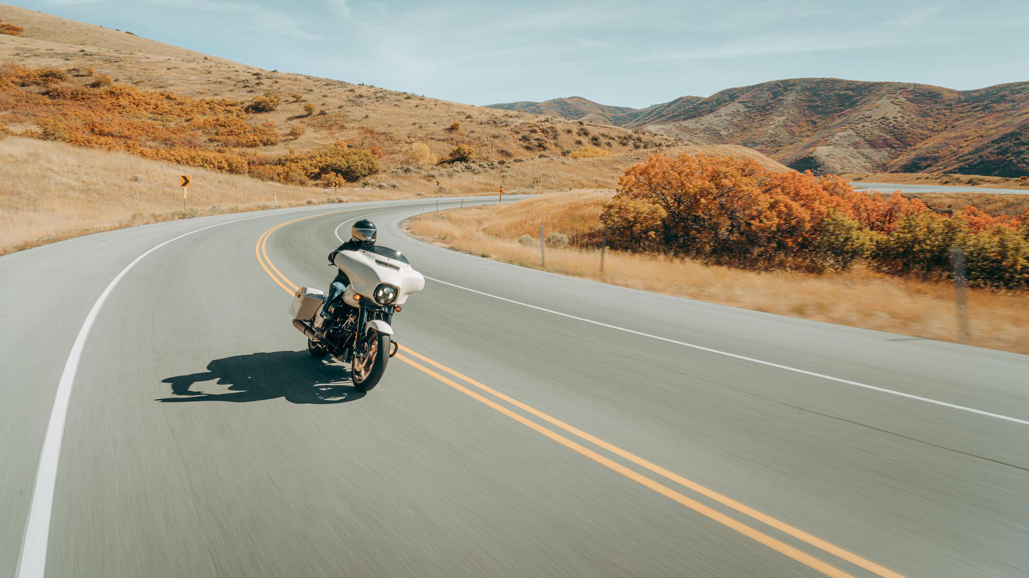 Ter gelegenheid van 20 jaar Street Glide