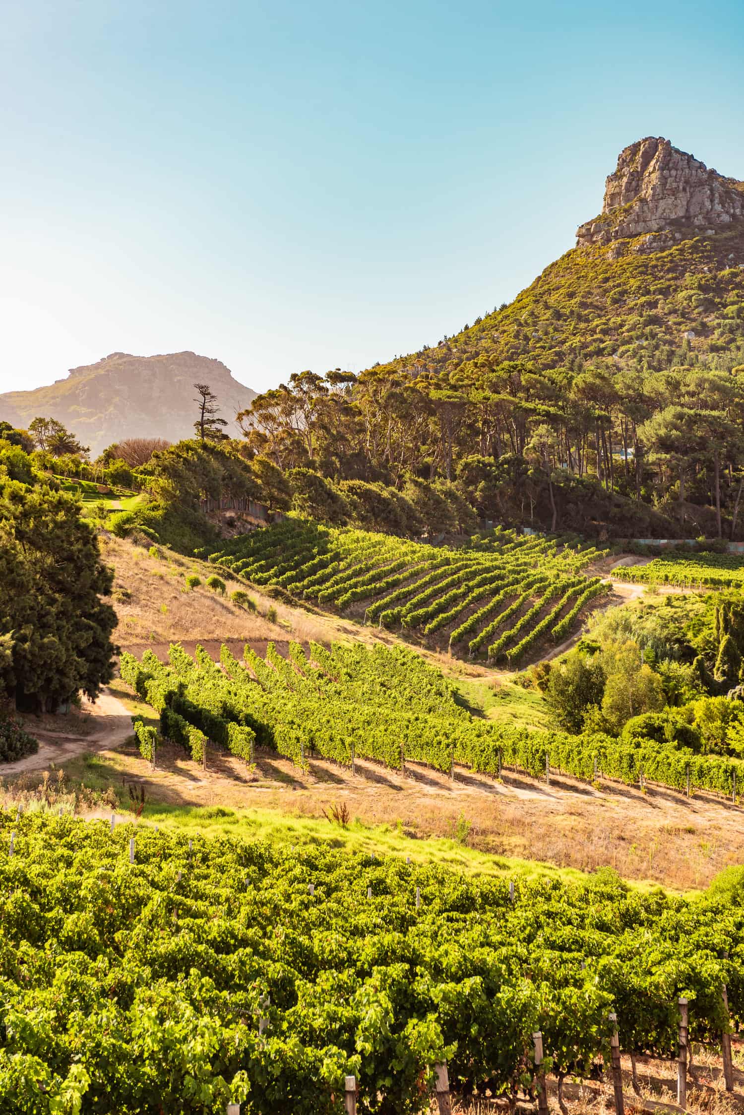 Stellenbosch to Cape Agulhas