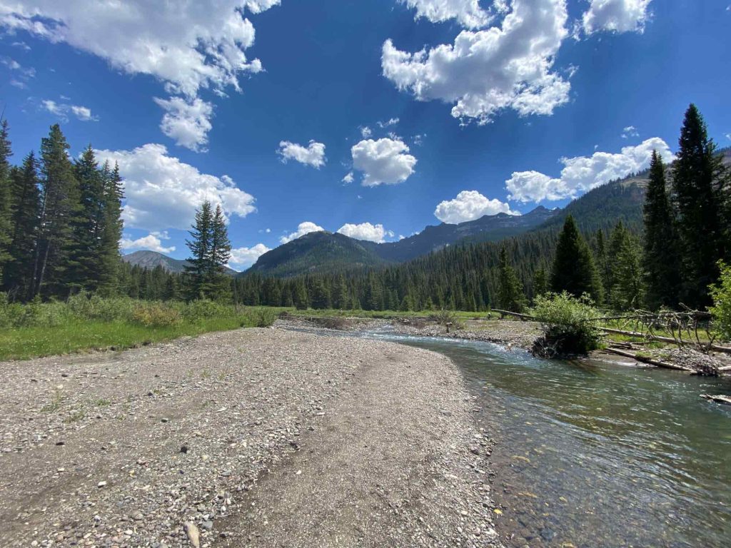 Yellowstone National Park.