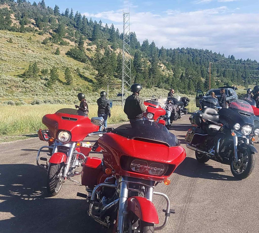 Some Harley-Davidson bikes.