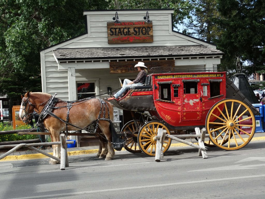 A horse and cart.