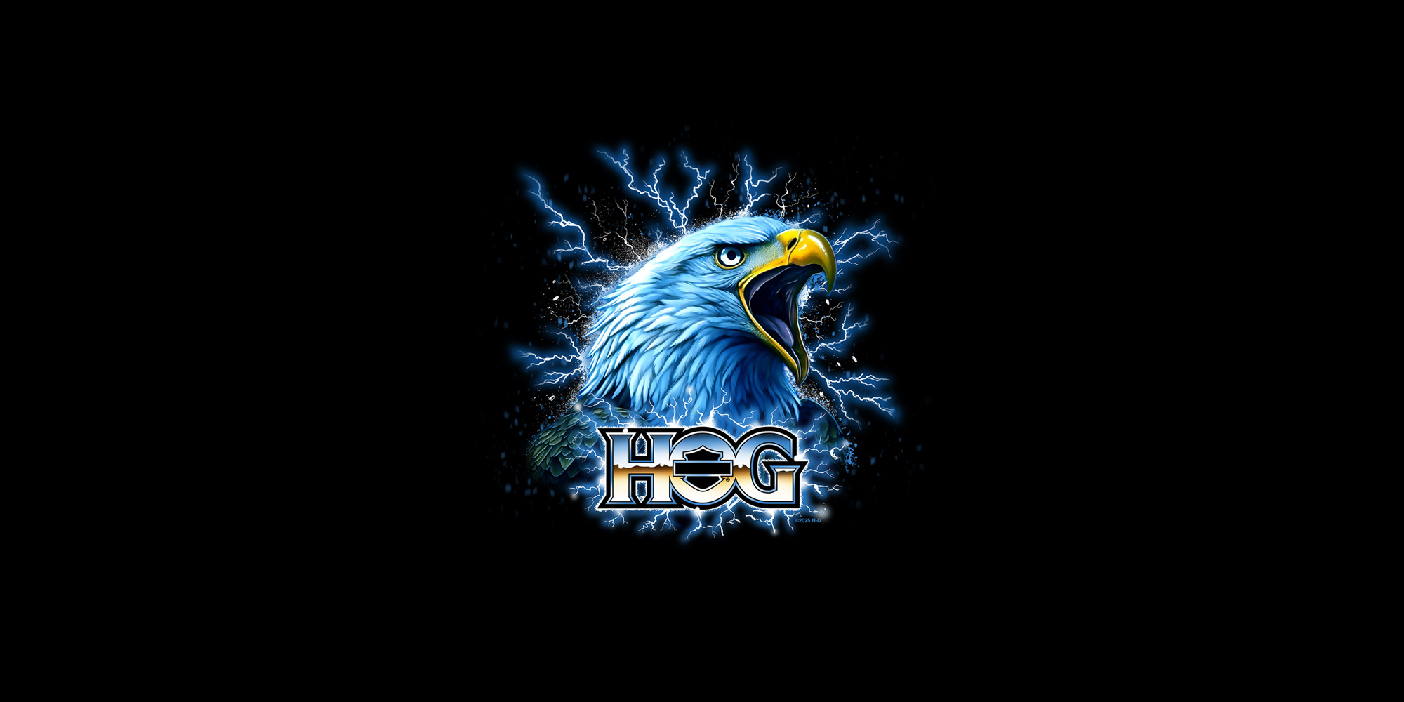 The Eagle Has Landed